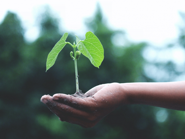 La sostenibilità al centro