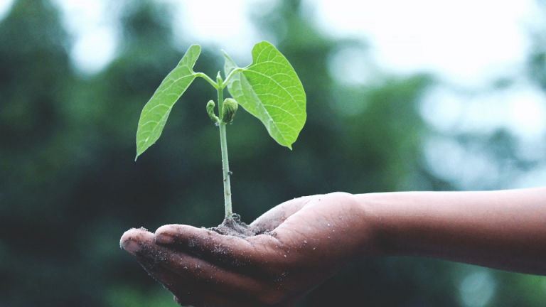 La sostenibilità al centro