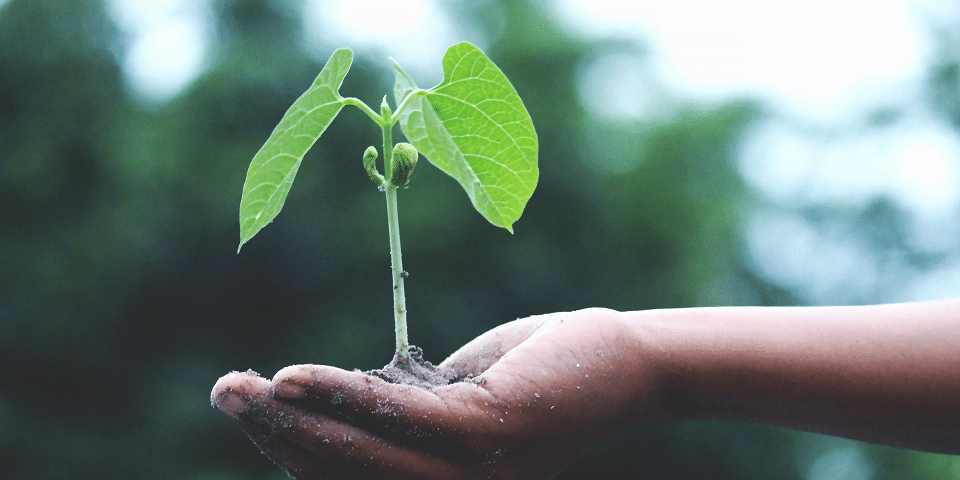 sustainability La sostenibilità al centro